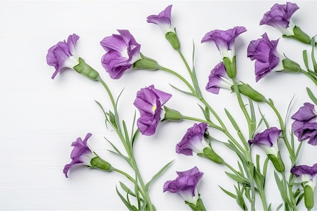 Eustoma floresce em fundo branco com moldura natural de galhos e folhas