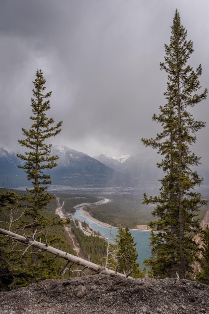 Evergreens, die einen Blick von oben auf Canmore und den Bow River in Alberta BC einrahmen