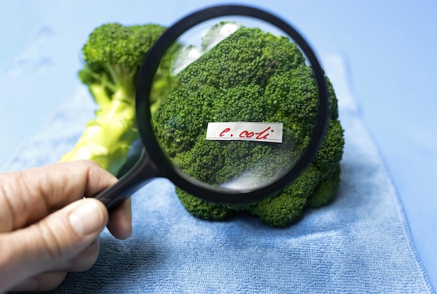 Examinar un brócoli con una lupa en busca de bacterias, intoxicación alimentaria por e coli