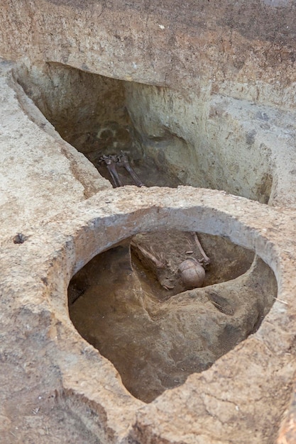 Excavaciones arqueológicas restos del asentamiento los escitas fósiles