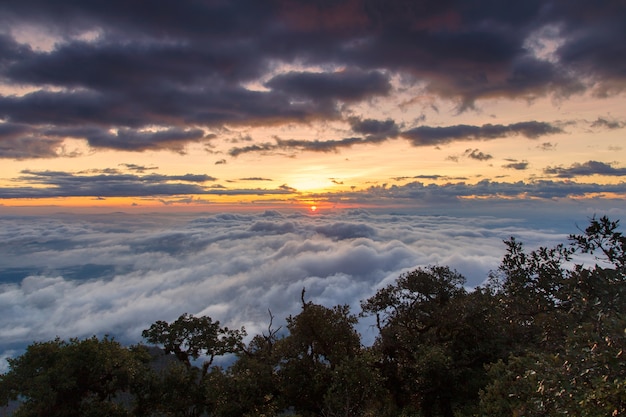 Excelente vista do nevoeiro em Doi Luang Chiang Dao, alta montanha na província de Chiang Mai