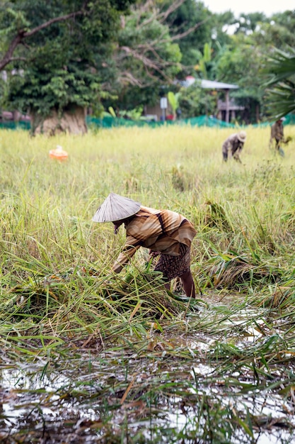 Excursión de un día a Camboya