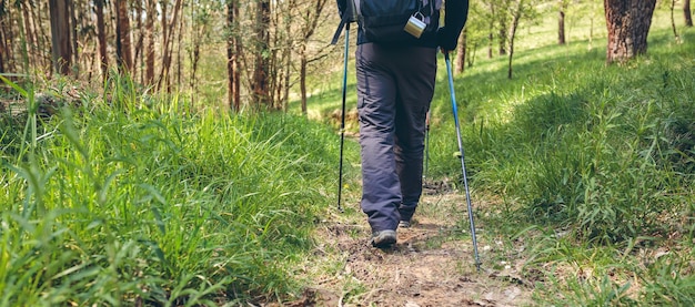 Excursionista masculino haciendo trekking