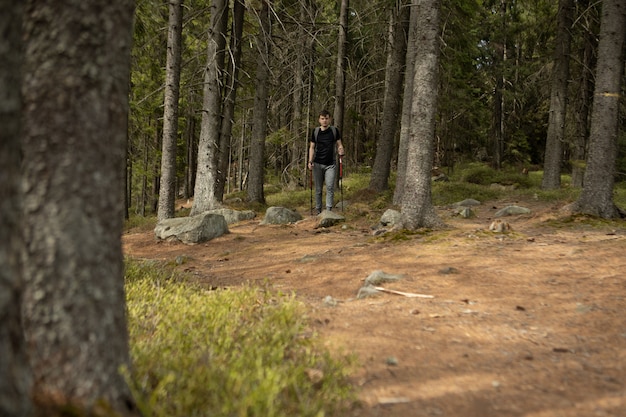 Excursionista masculino en un viaje por el bosque