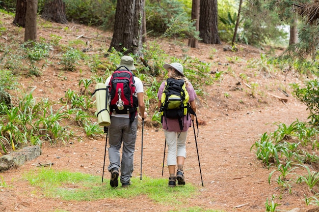 Excursionista pareja senderismo en bosque