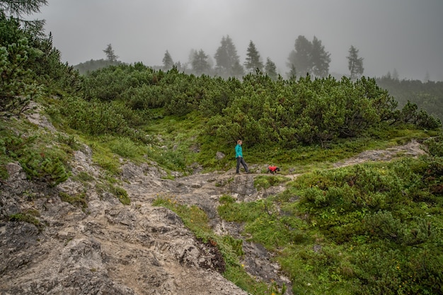 Los excursionistas en los Alpes austríacos caminan por senderos de montaña en los bosques que rodean los lagos.