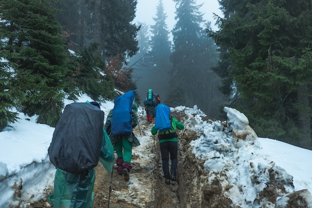 Excursionistas atravesando el bosque nevado de montaña.