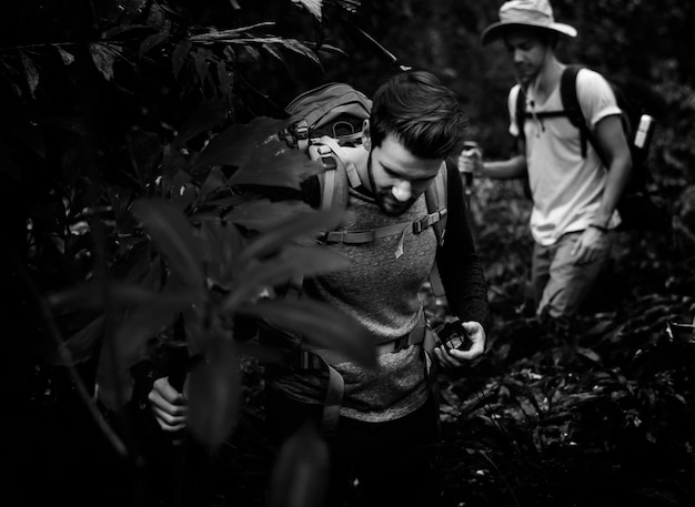 Excursionistas caminando juntos en un bosque