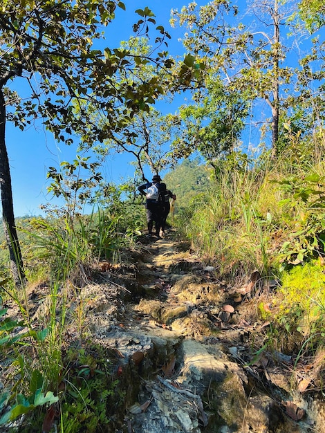 Los excursionistas caminando en las montañas de Tailandia Doi Chik Chong Nakhon Lampang