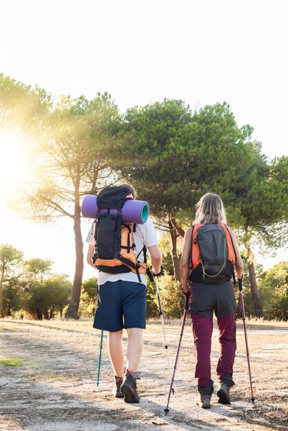 Excursionistas masculinos y femeninos con bastones de trekking y mochilas caminando por el campo visto desde atrás