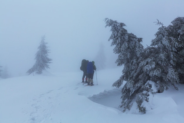 Excursionistas en las montañas de invierno