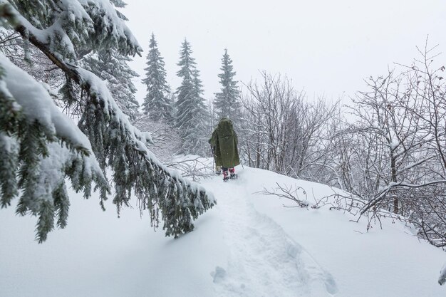 Excursionistas en las montañas de invierno