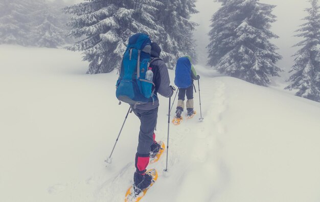 Excursionistas en las montañas de invierno