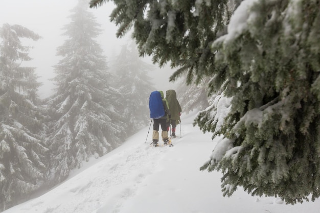 Excursionistas en las montañas de invierno