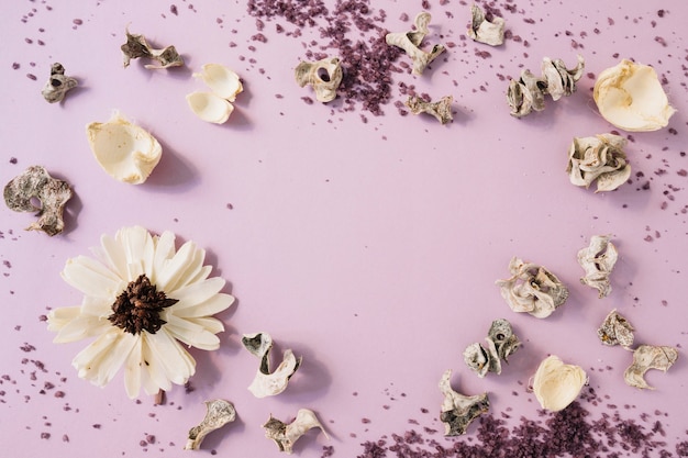 Foto exfoliación corporal hecha en casa; vaina seca y flor blanca sobre fondo rosa