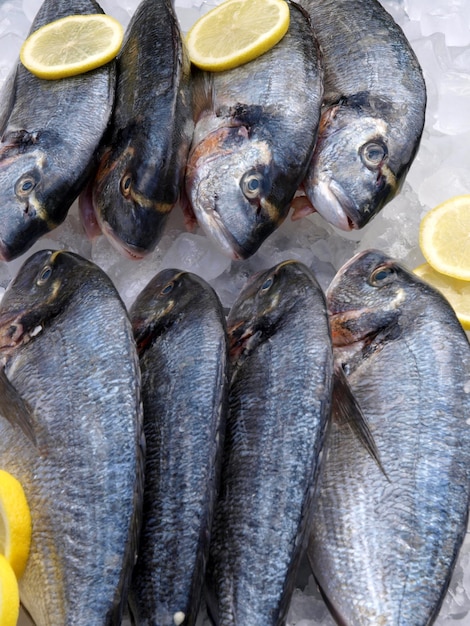 Se exhibe un grupo de peces con limones al costado.