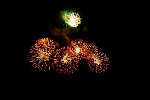 Exhibición colorida hermosa de los fuegos artificiales en el lago urbano para la celebración en fondo de la noche oscura