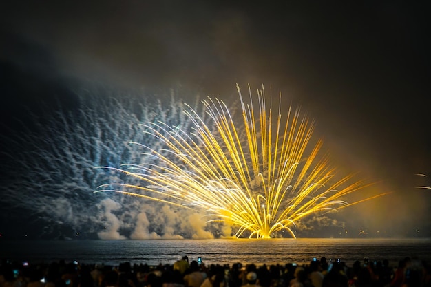 Exhibición de fuegos artificiales por la noche