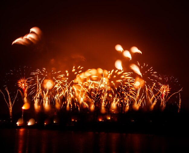 Exhibición de fuegos artificiales por la noche
