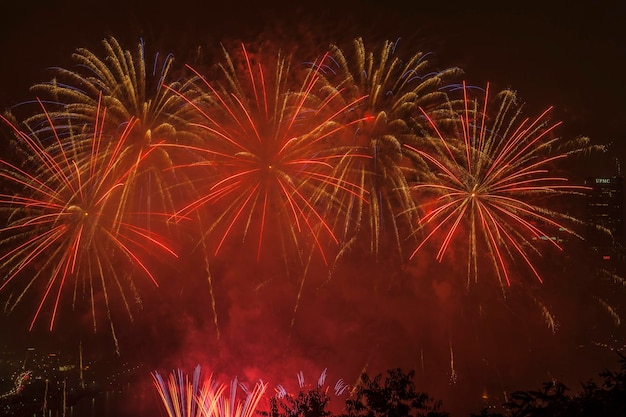 Exhibición de fuegos artificiales sobre la ciudad contra el cielo por la noche