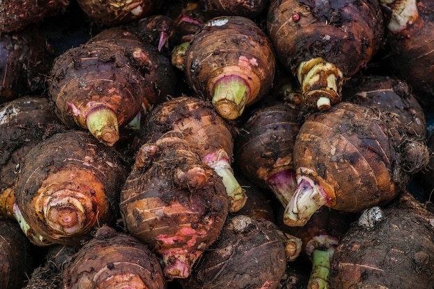 Exhibición de pila de taro fresco para vender en el mercado.