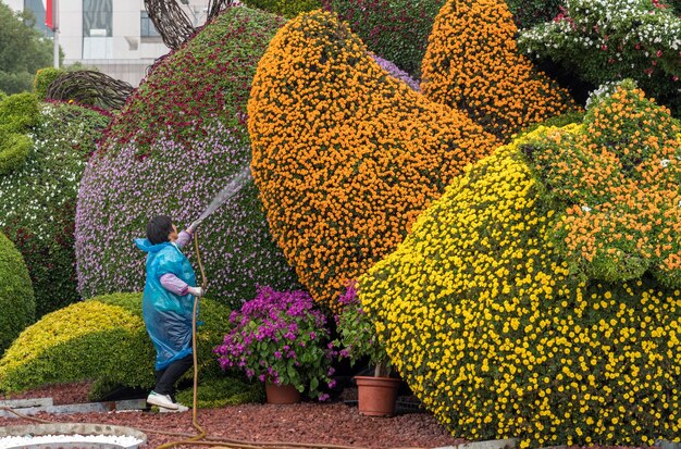 Exibição de flores de rega para o Dia Nacional em Xangai