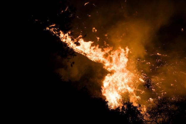 Exibição de fogos de artifício à noite