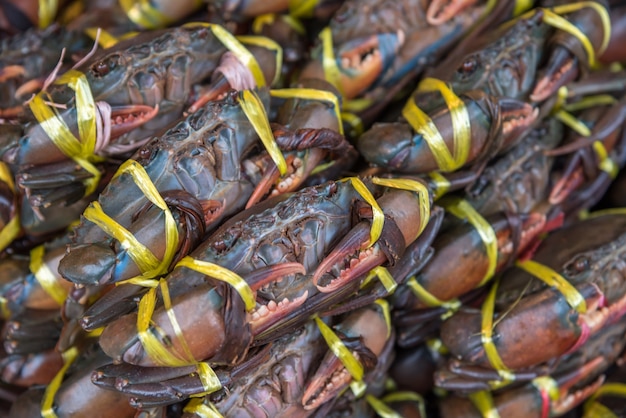 Exibição de grau superior crab mar cru fresco para venda no mercado de frutos do mar