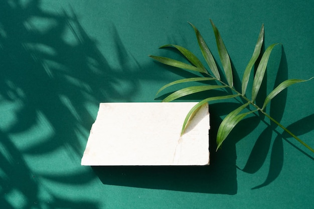Foto exibição de produtos modernos mínimos em fundo verde de alcance com folhas de palmeira frescas e sobreposição de sombra vista superior