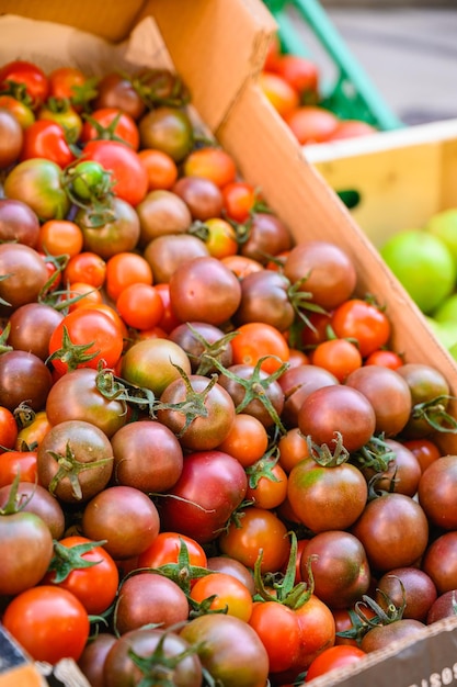 Exibição de tomate cereja em uma caixa com outras frutas