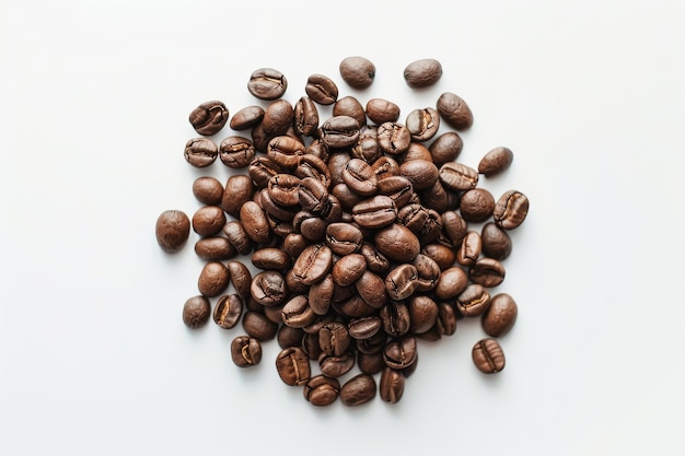 Foto exibidos os exquisitos grãos de café kopi luwak