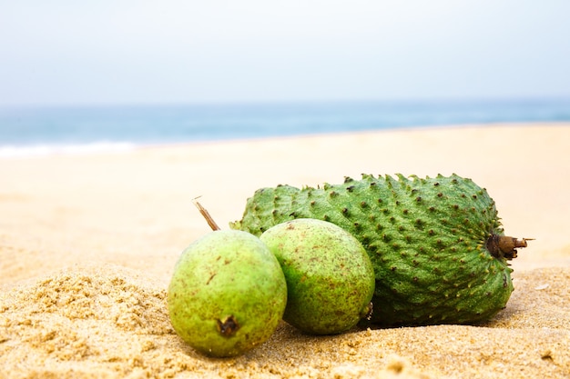 Exotische Fruchtwurst und ein Holzapfel auf dem Sand