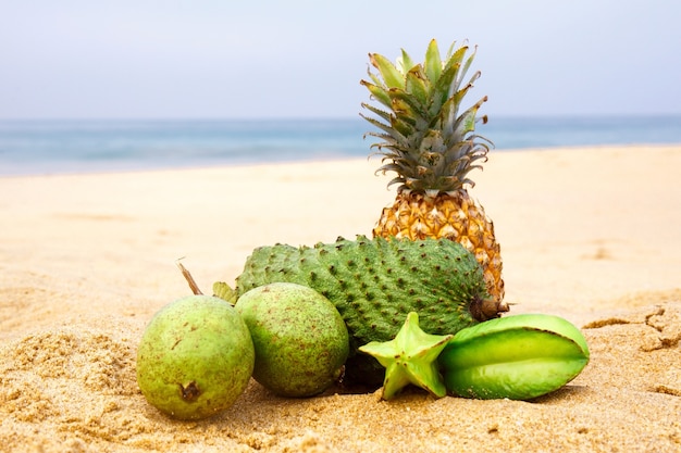 Exotische Früchte im Sand am Meer