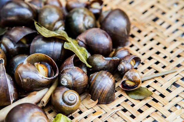 exotische Lebensmittel gekocht Bitter Muscheln auf Holz mit grünen Bergamotte