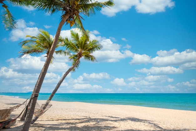 Exotische tropische Strandlandschaft für Hintergrund oder Tapete. Ruhige Strandszene für Reisen inspirierend, Sommerurlaub und Urlaubskonzept für Tourismus entspannend.