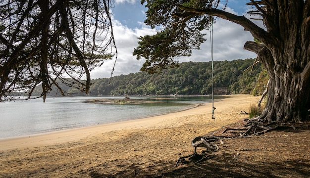 Exotischer abgelegener Strand mit goldenem Sandschuss in Stewart Island Neuseeland