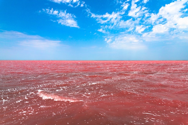 Exotischer rosa Salzsee und blauer Himmel mit Wolken. Foto in hoher Qualität