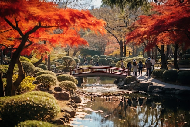 Experimentar la tranquilidad en medio del ardiente follaje de arce Jardín Tonogayato Una joya escondida en Kokubunji