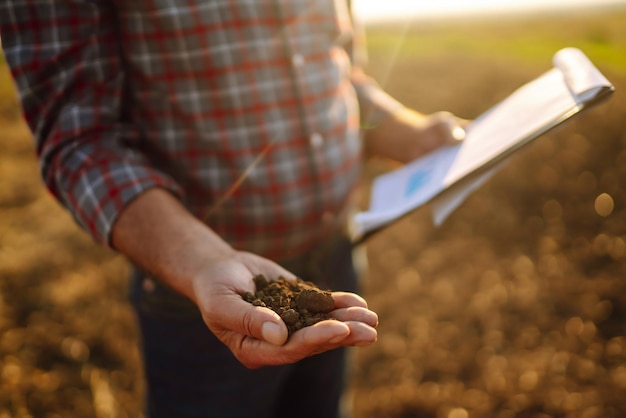 Expertenhand des Landwirts, der die Bodengesundheit überprüft, bevor ein Samen von Gemüse- oder Pflanzensämlingen wächst