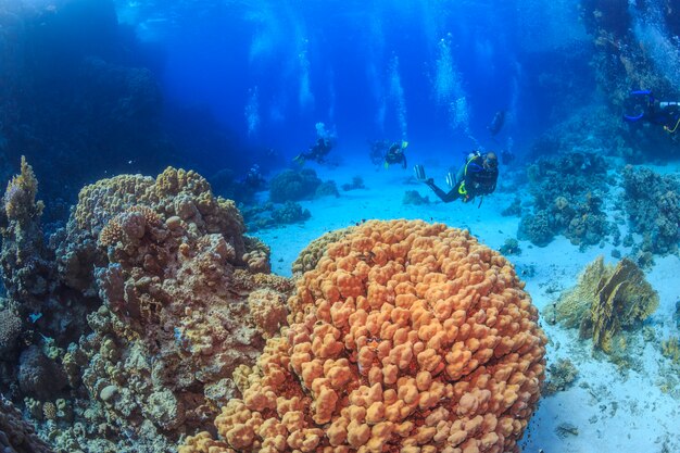 exploración de aguas profundas mar rojo egipto