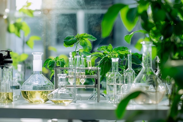 Explorando las maravillas de la botánica y la química en un exuberante entorno de laboratorio