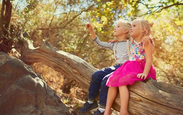 Explorando un mundo lleno de curiosidades Foto de dos niños pequeños jugando juntos al aire libre