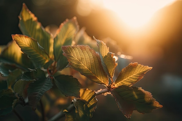 Explosão de folhas de plantas ao nascer do sol com tons quentes e frios criados com IA generativa