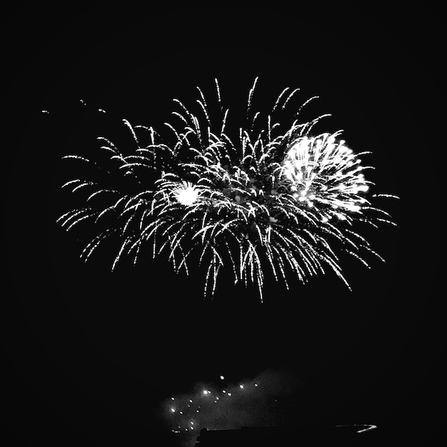Exposición de fuegos artificiales en el cielo durante la noche