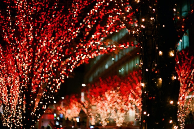 Exposición de fuegos artificiales por la noche