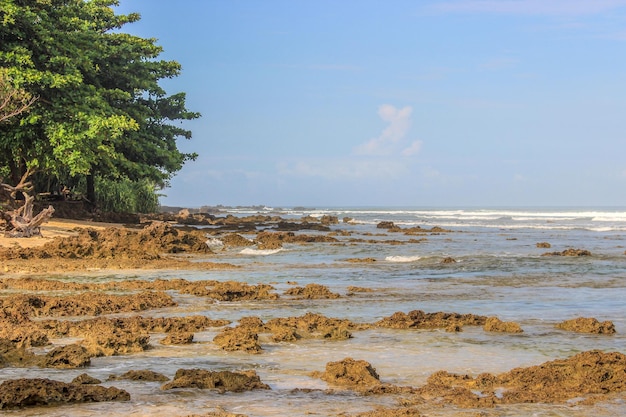 Extensão do recife de coral no oceano com um céu claro