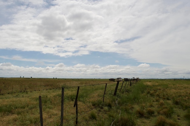 extensión del campo argentino