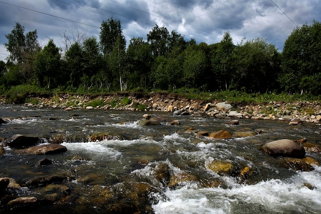 las extensiones del territorio de Altai y el rápido funcionamiento de los ríos de montaña en un día soleado de verano