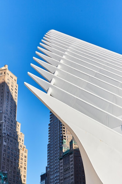 Exterior de arquitectura de construcción de costillas limpias blancas en el WTC de la ciudad de Nueva York junto a rascacielos