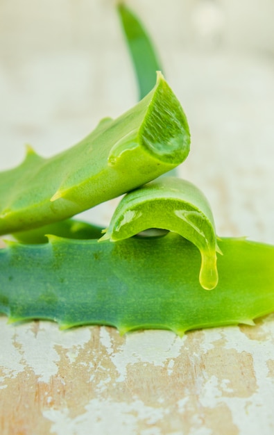 Extracto de Aloe Vera en una pequeña botella y piezas sobre la mesa. Enfoque selectivo